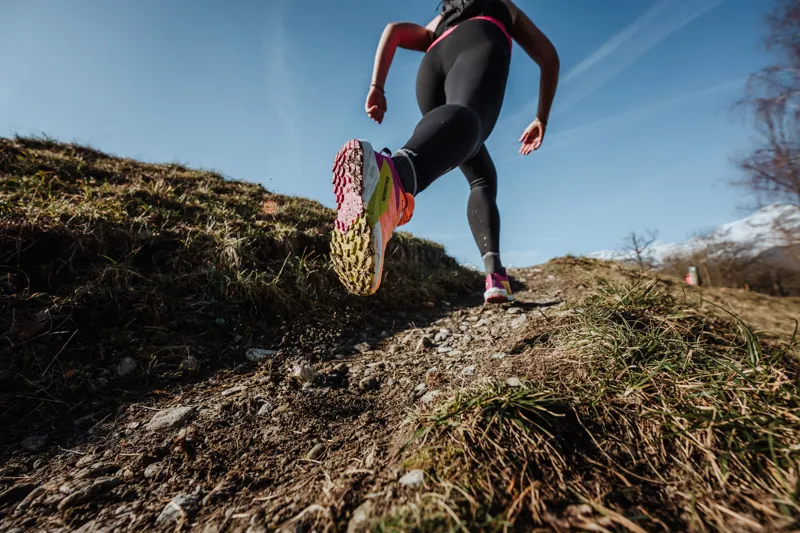 Salomon Sense Ride 5 Women's Trail Running Shoe in Bird Of Paradise/White/Sulphur Spring-7