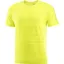 Salomon Sense Aero SS GFX Men's Running T-Shirt in Sulphur Spring/Citronelle
