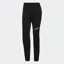 adidas Terrex Women's Techrock Alpine Climbing Trousers in Black