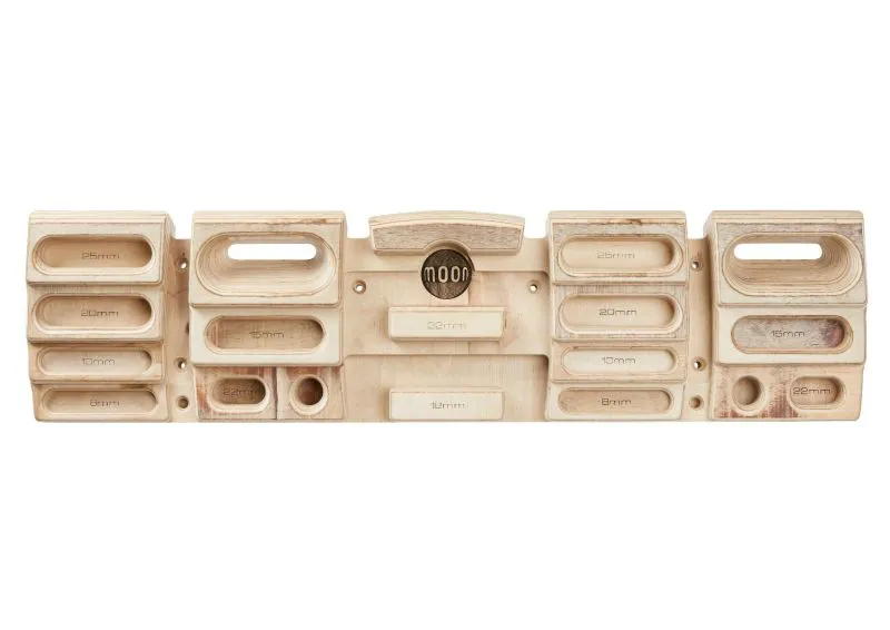 Moon Armstrong Fingerboard-1