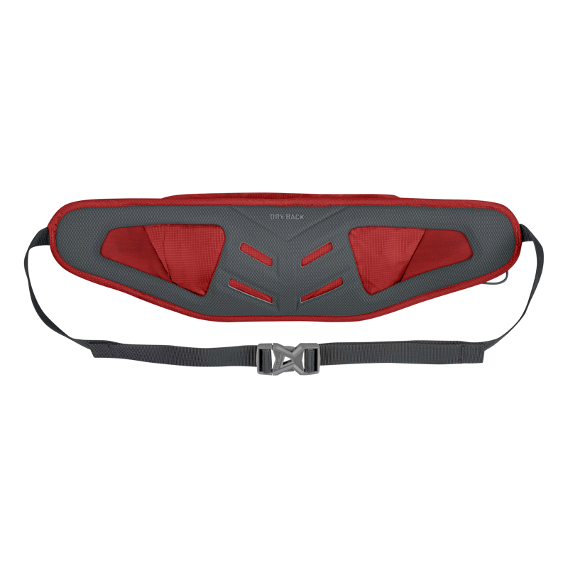 Salewa Lite Train Hipbelt in Flame-1
