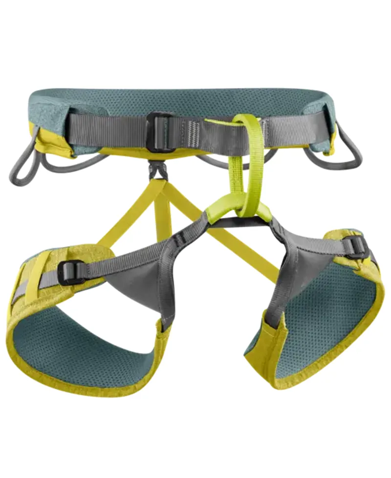 Edelrid Jay lll Climbing Harness in Wasabi