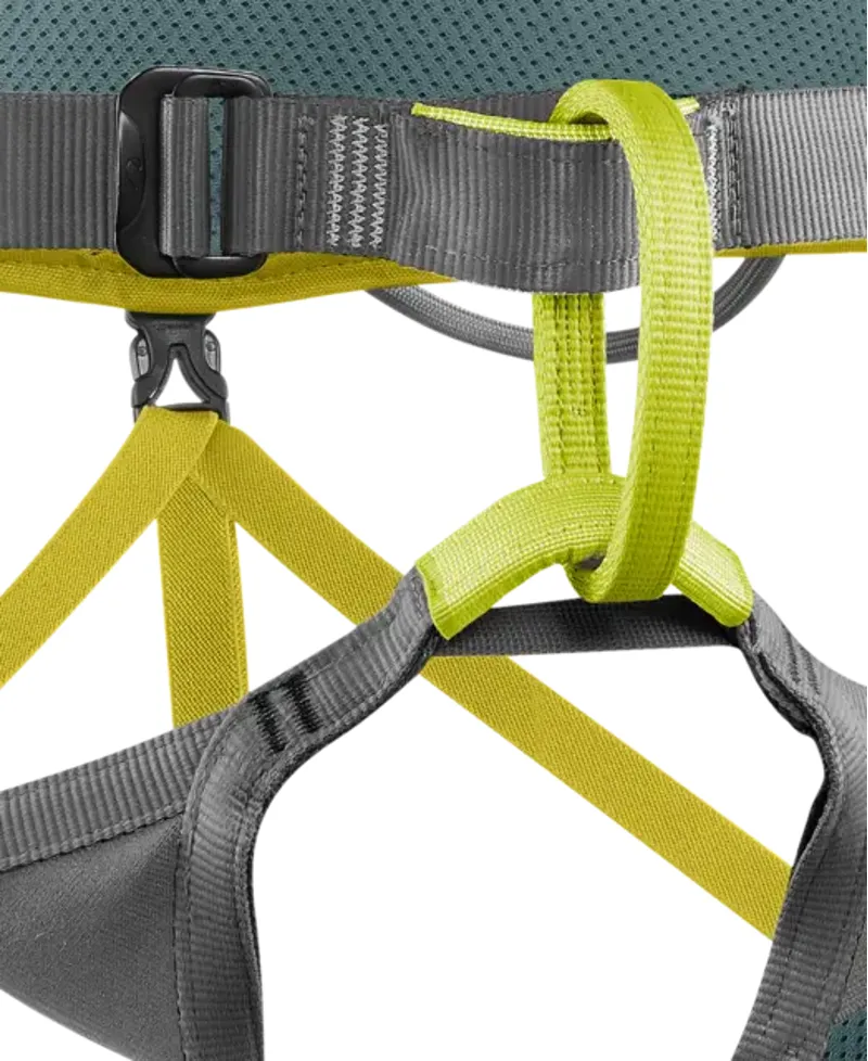 Edelrid Jay lll Climbing Harness in Wasabi-1