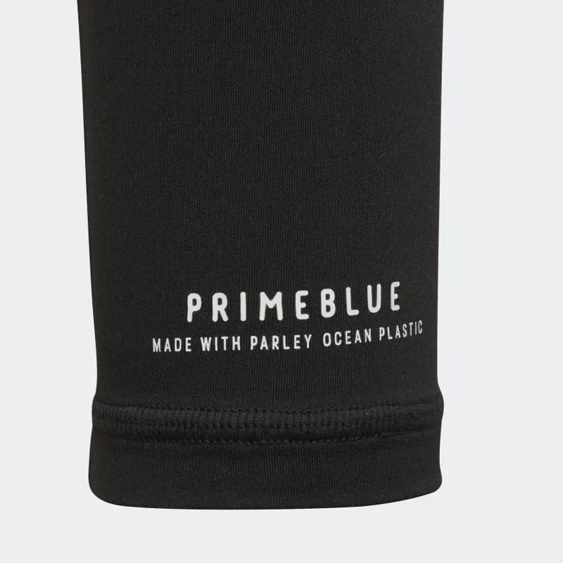 adidas Terrex Primeblue Trail Arm Sleeves in Black/White-1