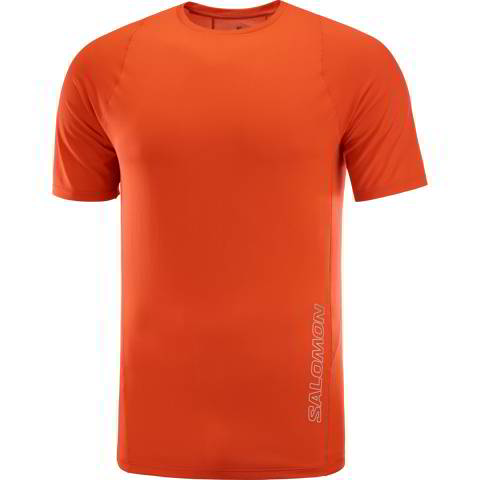 Salomon t online shirt sale