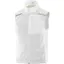 Salomon Sense Flow Vest Men's Windproof Running Gilet in White/Desert Sage