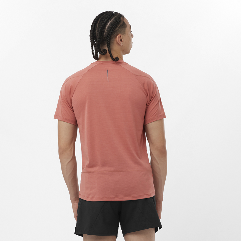 Salomon Cross Run SS Men's Running T-Shirt in Light Mahogany-2