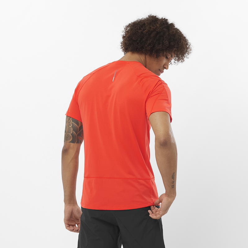 Salomon Cross Run SS Men's Running T-Shirt in Cherry Tomato-2