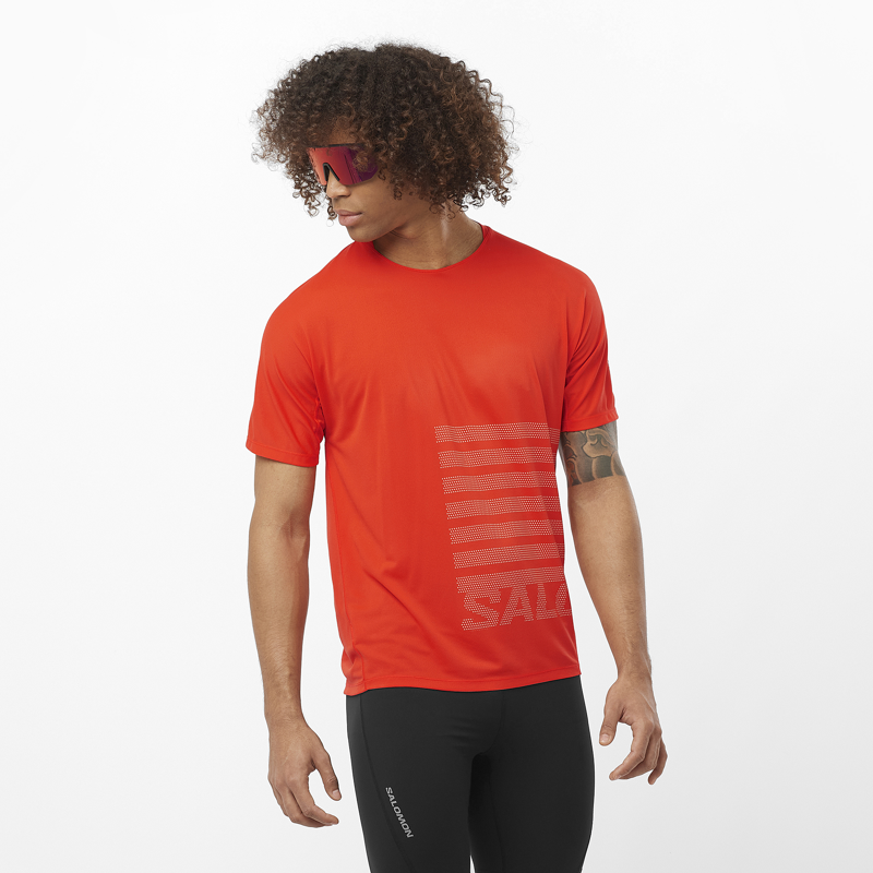 Salomon Sense Aero SS GFX Men's Running T-Shirt in Cherry Tomato/Rainy Day-1