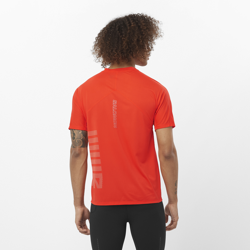 Salomon Sense Aero SS GFX Men's Running T-Shirt in Cherry Tomato/Rainy Day-2