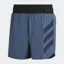 adidas Terrex Agravic Men's Trail Running Short in Wonder Steel
