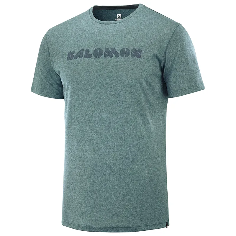 Salomon Agile Graphic Tee in Green Gables