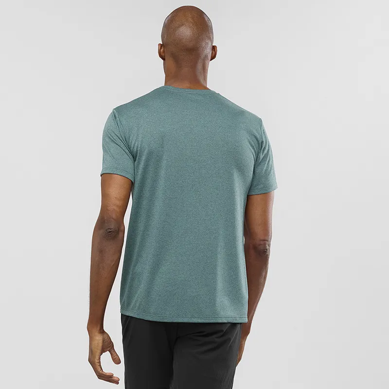 Salomon Agile Graphic Tee in Green Gables-2