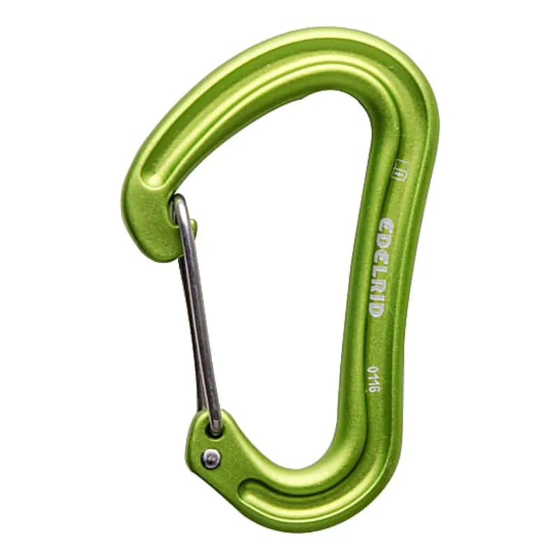 Edelrid Nineteen G Carabiner in Oasis