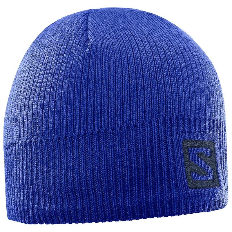 Salomon Logo Beanie Hat in Surf The Web