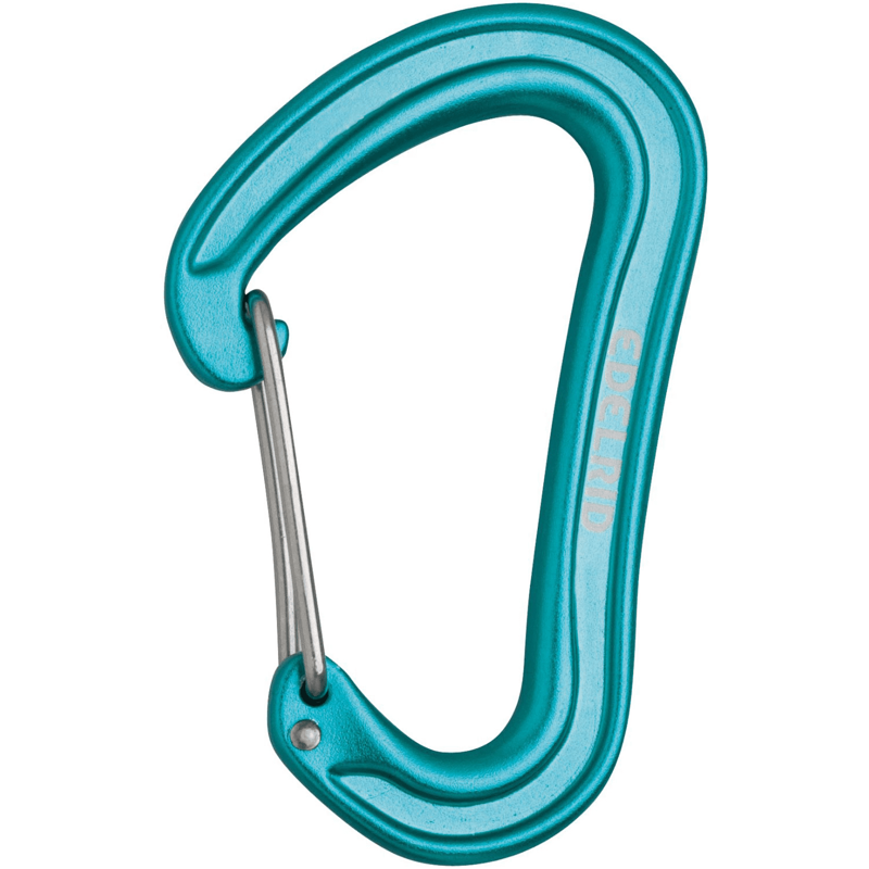 Edelrid Nineteen G Carabiner in Icemint