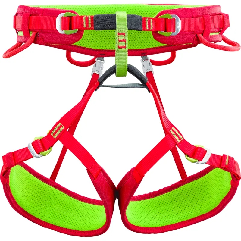 Climbing Technology Anthea Women's Climbing Harness in Green/Pink