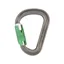 DMM Phantom HMS Screwgate Carabiner in Titanium/Green