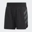 adidas Terrex Agravic Pro Men's Running Short in Black