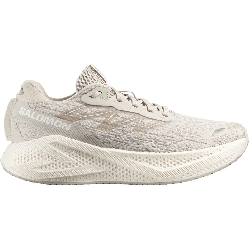 Salomon Aero Glide 4 in Silver Cloud/Silver Cloud