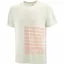 Salomon Sense Aero Graphic Men's Running T-shirt in Icicle/Neon Flame