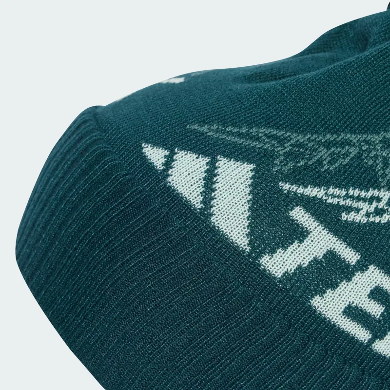 adidas Terrex Xploric Pom Pom Beanie in Aurora Ivy-1
