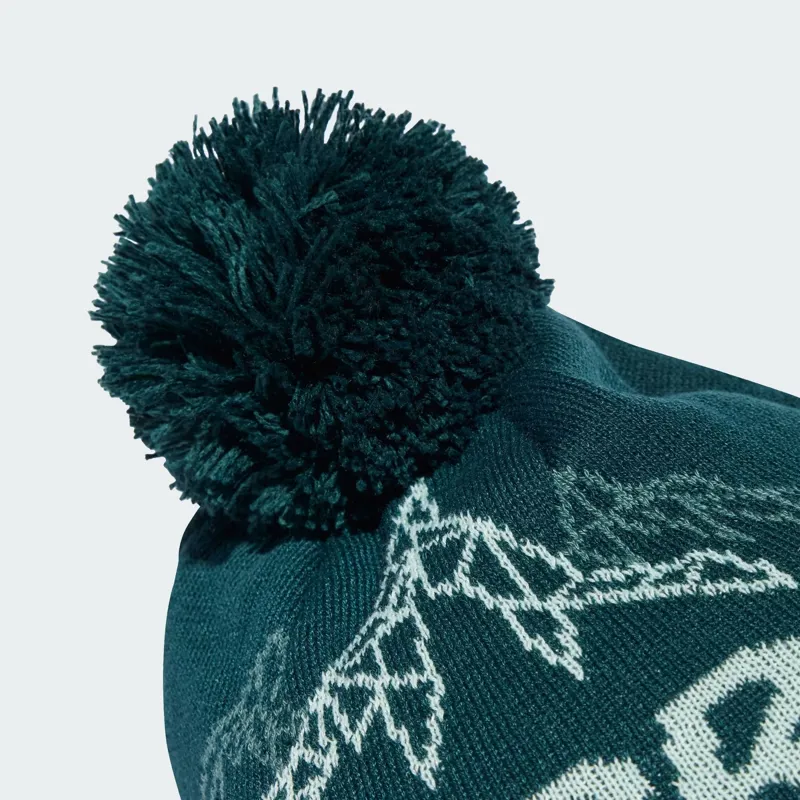 adidas Terrex Xploric Pom Pom Beanie in Aurora Ivy-2