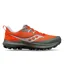 Saucony Peregrine 14 Men's Trail Running Shoes in Pepper/Bough